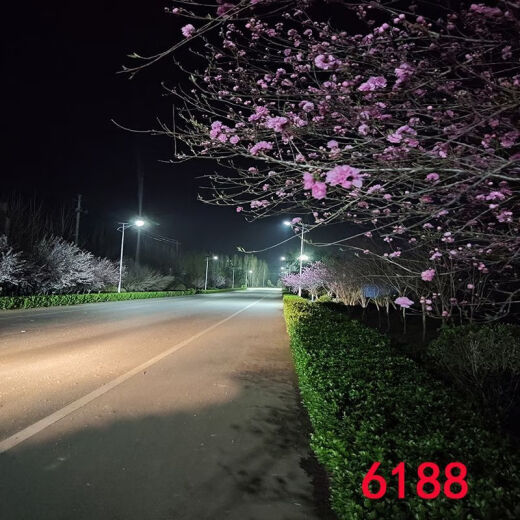 CLCEY网红主播直播背景布抖音快手拍视频段子3d立体背景墙夜景风景外景 6187 1.5米宽2米高