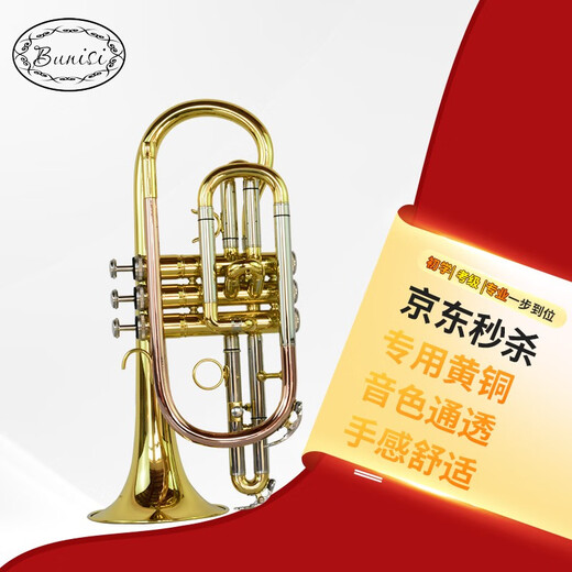 BunisiBUNISI降B调小号乐器专业演奏 初学 考级 高音 手掌  短号 加重型 磷铜吹管短号