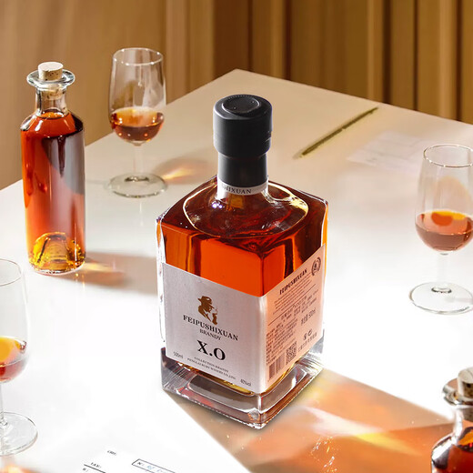 Philippine Sixuan French Brandy Xo Fremdwein importiert Original Wine Mix Classic Geschenkgeschenk für 40 Grad 500 ml 500 ml 1 Flasche