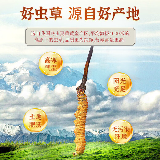 Jinyiyuan Cordyceps sinensis orale flüssige Ernährungsergänzungsmittel für Menschen mittleren Alters und älteren Menschen, um die Gesundheitsprodukte für die Immunität für Vatertags-Geschenkbox 12 Boxen für High-End-Geschenkpakete während des neuen Jahres und des Festivals zu verbessern [9 Kisten für Real Price 12 Boxen Original]