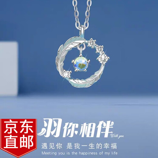 Warme Farben Pure Silver Necklace for Women Light Luxury Simple Feather Design Clavicle Chain Pendant for Women Practical Birthday Gift for Wife Glazed Stone Feather Necklace