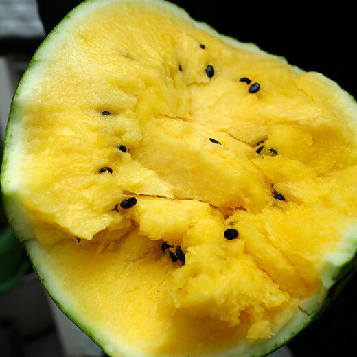 Shouhe fruit seeds early spring ruby gift watermelon 2k small watermelon thin skin sweet spring planting balcony potted plant Shouhe Weifeng series Xiaofeng watermelon seeds 15 capsules