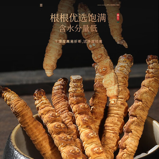福东海 冬虫夏草礼盒4克  甄选高品质干虫草 送礼送长辈滋补品 【权利棕礼盒】10克全虫断草