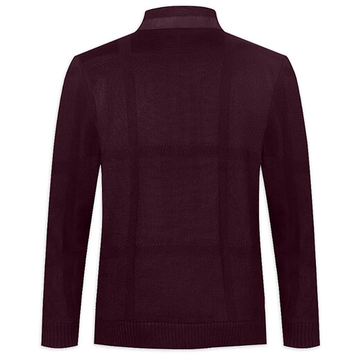 Virtue wool knitted jacket men's spring and autumn jacket micro-stretch stand collar daily wear jacket jacket burgundy FRJ73106-043 48