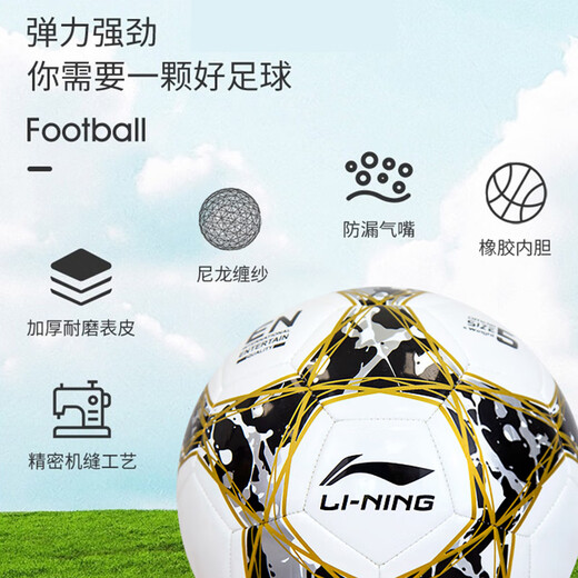 Li Ning Football No. 5 Adult Children No. 4 Professional Training Competition Ball Standard for High School Entrance Examination Special Wear-resistant No. 5 Machine Sewing Model TPU 673/671-3 Gift Accessories Gift Pack No. 4 Ball (Children's Ball)