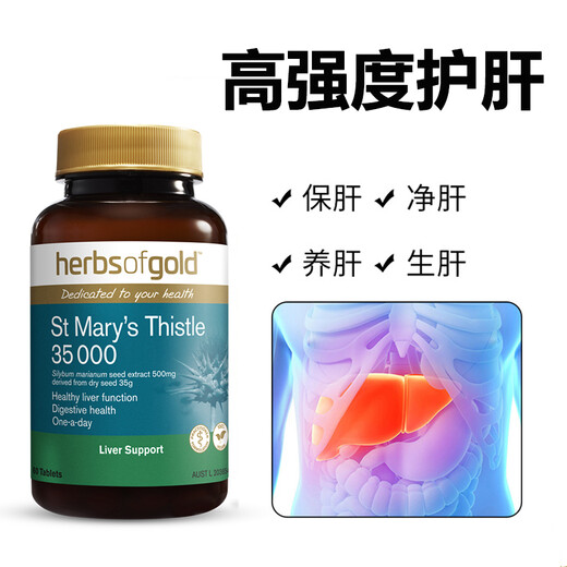 和丽康（Herbs of Gold）水飞蓟护肝片脂肪肝奶蓟草hog养肝保肝片熬夜解喝酒澳洲进口 护肝片2瓶装（95%人群选择）