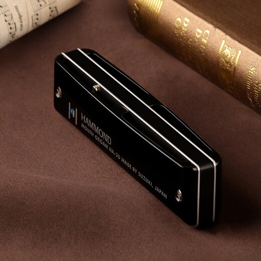 铃木日本原装进口铃木口琴10孔Paddy爱尔兰音阶带低音6初学入门练习用 PADDY音阶C调