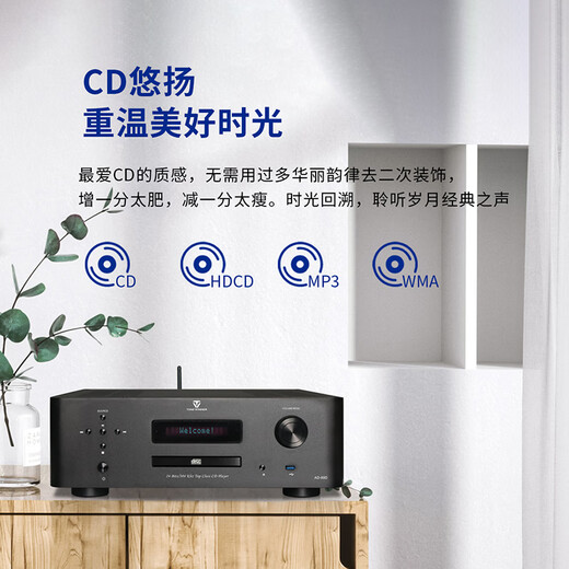 天逸（Winner）AD-89D合并式HIFI解码功放机发烧级立体声高保真HIFI组合  AD-89D