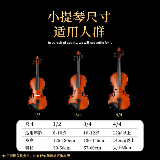 雅马哈（YAMAHA）小提琴V3SKA/V7SG儿童初学考级演奏级手工实木家用提琴 V3SKA-4/4手工小提琴+全套配件