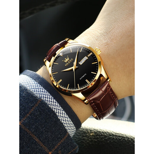 Top 10 European Waterproof Men's Watches Swiss Mechanical Watch de alta gama 2025 Nuevas marcas Top Top Watchs Men's Men's Bottom Belt 6629 Brown Leather Room Black Men's Watch