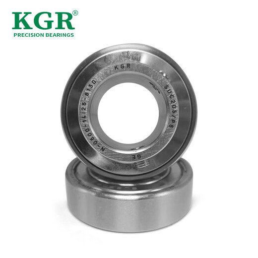KGR Deutschland/304 Edelstahllager wasserdicht, rostfeste, korrosionsbeständige, s6200/6201/6202/6203/Magnetische Lagersammlung SS6210-Zz/P5 304