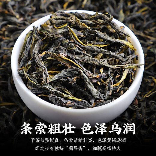 陈一凡 正宗高山凤凰单枞 茶叶 乌龙茶新茶 正宗潮州鸭屎单丛乌龙茶250g