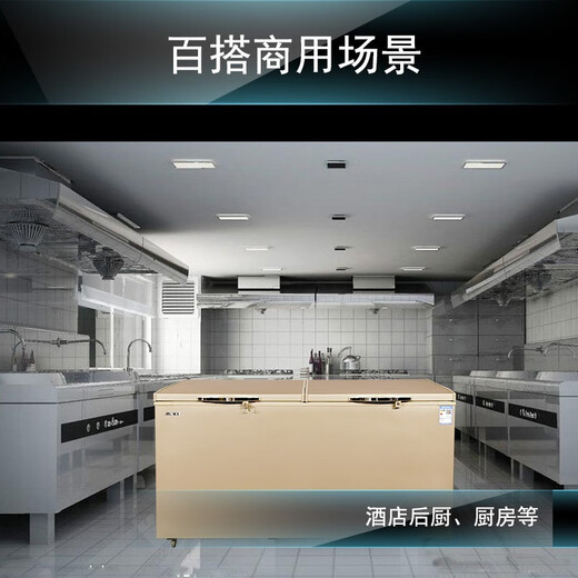 白雪金色数显温控商用家用卧式大冷柜 620-1050升冷冻冷藏展示柜 大容量高效制冷节能环保冰箱 BD/C620FD【五面制冷，数显控温】 620L