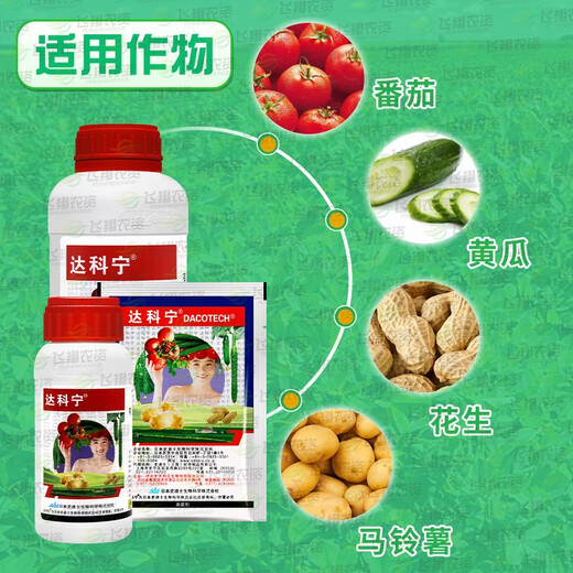 Daconin Japan 40% chlorothalonil, cucumber, tomato, peanut, downy mildew, early and late Phytophthora leaf spot, pesticide and fungicide 40ml (20ml*2 bags)
