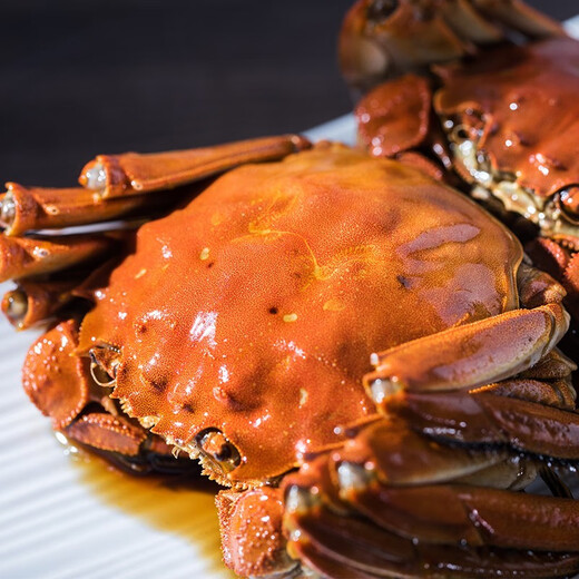 老蟹坊礼盒【现货】25年老蟹坊花雕醉蟹 1098型-阖家欢乐