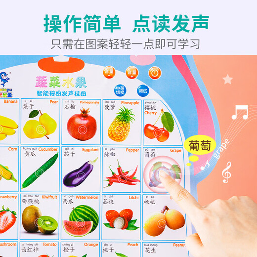 Y•S•R 奕思瑞婴儿有声早教挂图识字汉语拼音表数字英文字母看图识物儿童玩具 【启蒙认知】动物+人物+蔬果 0-3岁宝宝认知点读发声墙贴