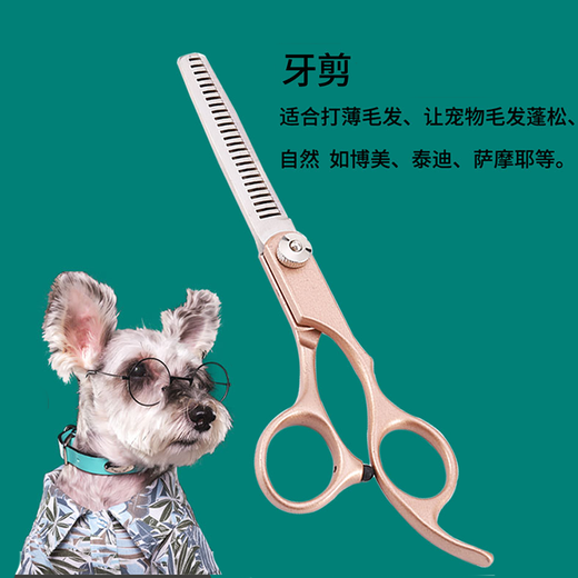 Tanizaki pet grooming scissors, dog hair tool set, 7-inch split scissors, professional trimming shears, curved scissors, Teddy cat and dog universal haircut tool, pet scissors #Cut scissors + dental scissors + straight scissors + steel comb storage bag