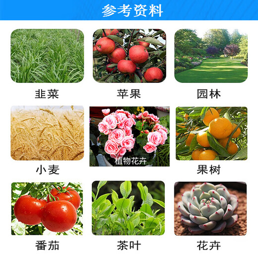 Senhuo Jiayun 24 Table 0.01% brassinolide garden seedlings flowers lawn seedlings promoting differentiation growth regulator