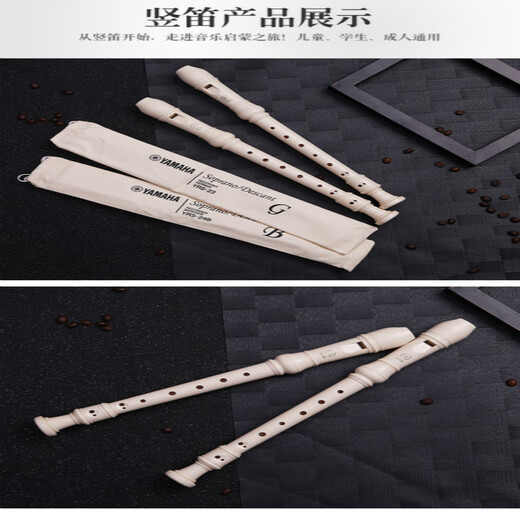 杉贝适用于竖笛8孔德式G YRS-23G高音24B英式C调学生用儿童初学ONEVAN 德式套餐一(超多)刻字