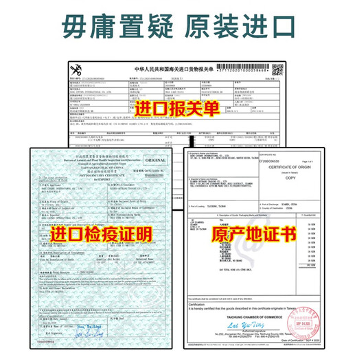 尚轩冻顶乌龙茶 台湾原装进口 三分焙火 经典炭焙浓香型 高山茶300g