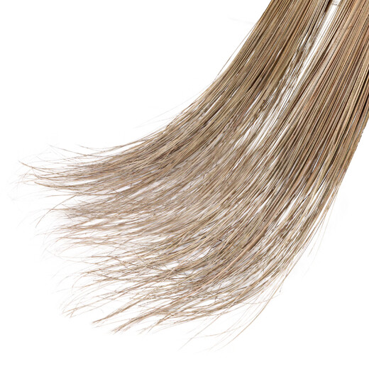 Weiyang WYS-541 Bamboo Broom Cleaning Broom Property Garden Factory Sanitation Sunflower Broom Sunflower Grass Long Tail Broom 8-Stage Style 5-Broom