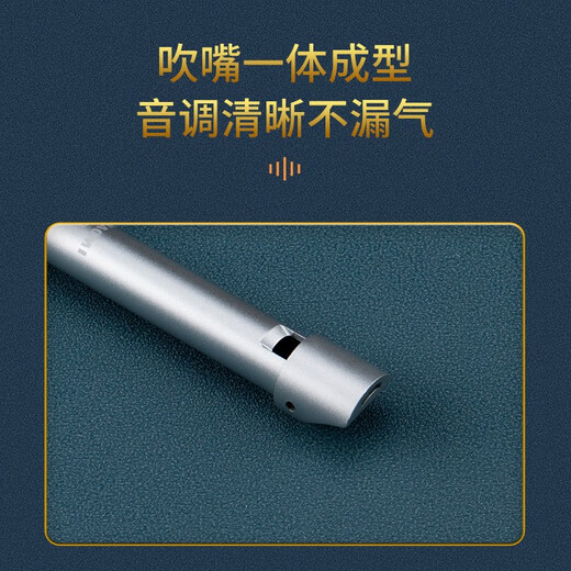 Rongkai Irish Whistle Flöte All Aluminiumlegierung Treble C/Tuning Zinnflöte für Anfänger für erwachsene Anfänger Sechsloch Rekorder D/Tuning Britisch Sechsloch D/Tuning Silber
