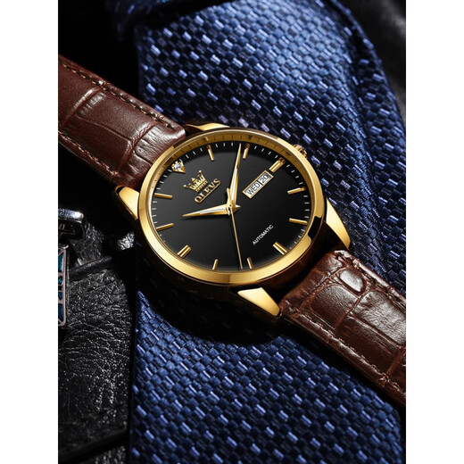 Top 10 European Waterproof Men's Watches Swiss Mechanical Watch de alta gama 2025 Nuevas marcas Top Top Watchs Men's Men's Bottom Belt 6629 Brown Leather Room Black Men's Watch