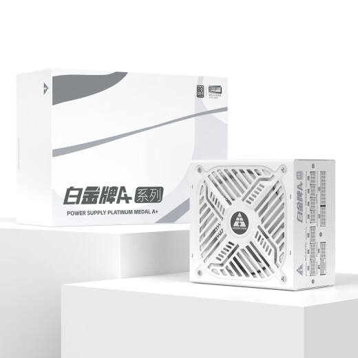 金河田（Golden field）白金牌A+1050全模组电脑电源台式机1050W电源 ATX3.1 支持PCle5.1原生显卡供电 白金牌A+1050白【压纹全模组/ATX3.1】