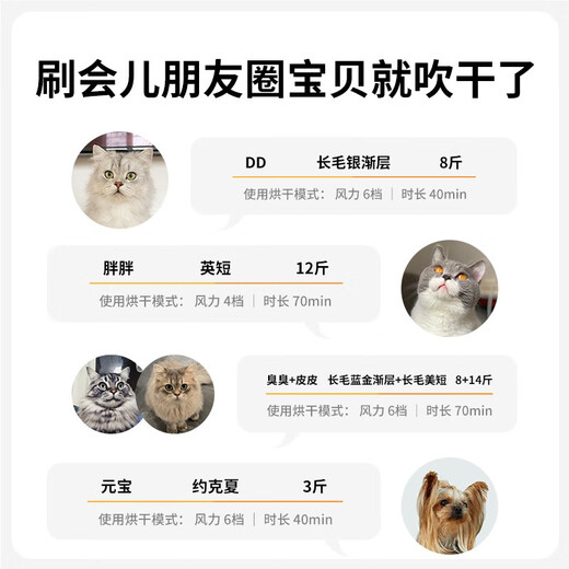 Xiaopei pet drying box, cat automatic hair dryer, household bathing and hair drying tool, dog hair dryer and water 60L smart PRO model - active oxygen antibacterial