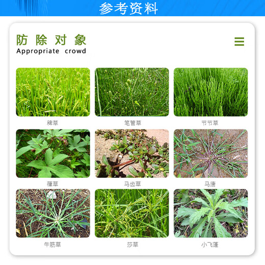 Tree crops are everywhere yellow 41% glyphosate isopropylamine salt glyphosate orchard non-cultivated land rotten root pesticide herbicide