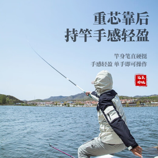 达瓦玲珑6H28调钓鱼竿手竿超轻超硬鲫鲤竿9H19调台钓竿高碳野钓休闲竿 719m 0M 高碳7H19调腰力强劲 2.7米送礼包+竿稍