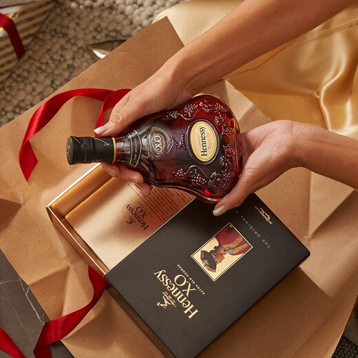 轩尼诗（Hennessy）【官方直营】轩尼诗XO干邑白兰地 700mL 2瓶 法国进口洋酒