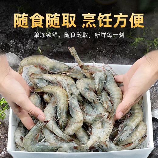 Dongshang Yupin Domestic Qingdao Prawns Extra Large White Prawns 2030Specifications Net weight 3Jin Jin is equal to 0.5kg Boxed live frozen