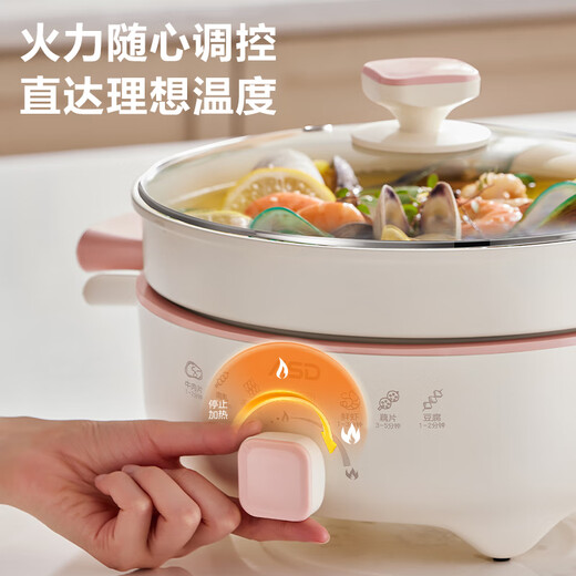 Pot chaud électrique ménage 5L Pot chaud électrique à grande capacité à la vapeur en haut et en bas et pas facile à coller au pot de grand diamètre Certificat de cuisson électrique Pot cuit cuit à la vapeur 1500 W Pot chaud électrique multi-fonctions de haute puissance (revêtement non cadavre + structure divisée)