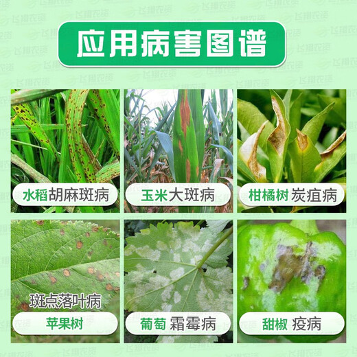 Bayer Antaisyn propionic zinc fruit tree grape cucumber tomato downy mildew early and late blight pesticide fungicide 25g*20 bags