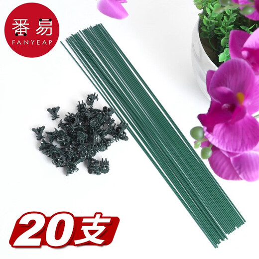 Support de plante Fanyi Support B1zo Flower Flower Flower Phalaenopsis Support Stand Modeling Support Vines et Fleurs Plante Plant Plant Support de fer [40 cm] 10 + 10 Clips fixes