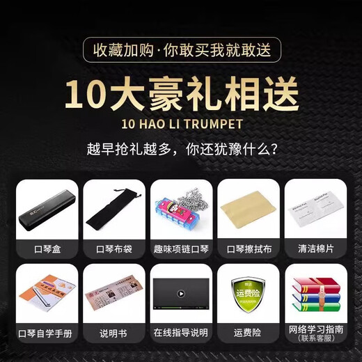 Guoguang importiert Gong Guoguang Akzent 24-Loch-Mundharmonika Polyphonische 28-Loch Advanced Adult Professional Performance Anfänger 28-Loch Bright Black Polyphonic Phonetic Symbol Modell + Vollständige Geschenke