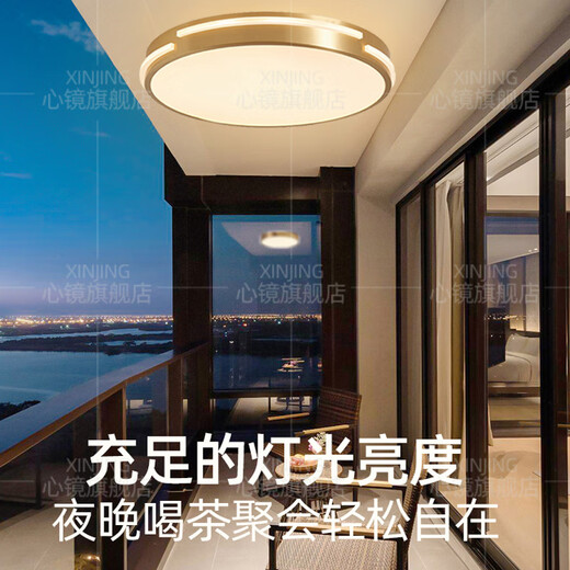 心镜全铜吸顶灯走廊过道专用超薄阳台灯户外防水别墅防蚊虫入户门前灯 X3890-510