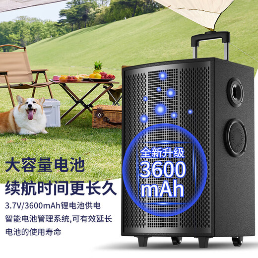 Sony Ericsson (soaiy) 8-inch square dance audio wooden high-power portable outdoor heavy bass Bluetooth karaoke special high-volume mobile trolley speaker outdoor performance dual microphone SA-X72