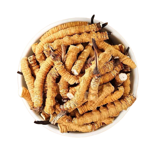 Área tibetana auténtica naqu Big Broken Grass Fresh Cordyceps sinensis Cordyceps de productos secos Auténticos Cordyceps sinensis Tíbet auténtico Naqu Stramos de carne entera de alta altitud 55 gramos
