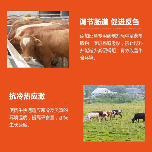Henan Dabeinong 4% beef cattle premix calf fattening cattle feed rapid fattening and weight gain frame 20 kg/bag