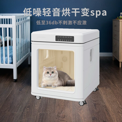 Chongzhidi Caja de secado para mascotas Máquina de baño y secado para gatos Artefacto de secado por soplado para perros silencioso para el hogar Universal para perros pequeños y medianos Modelo plegable de 100 L Viento súper fuerte * 40 Jin Jin equivale a 0,5 kg Universal para mascotas domésticas