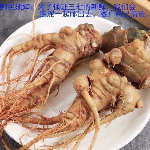 Notoginseng de panax frais Sélection du Yunnan Wenshan Panax notoginseng avec des racines Champs Freshs Wine Schec 250g 500g [Cinq ans Sélection de panax frais notoginseng] 4 Total 500g