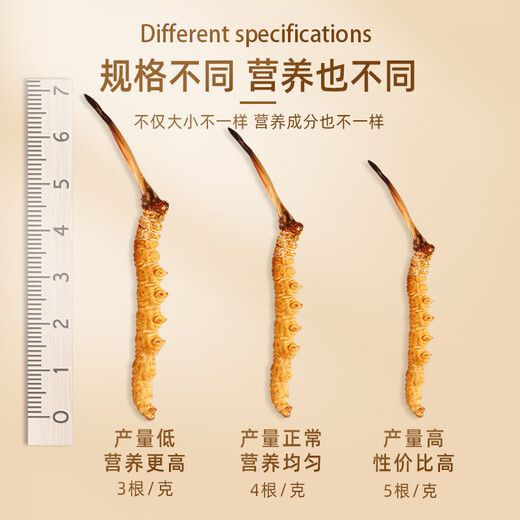 煌家优品冬虫夏草5根/g4克礼盒装精选饱满高品质营养品送礼礼物送长辈
