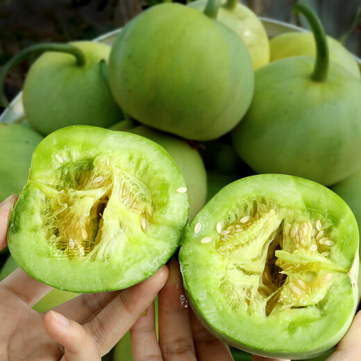 Nongzhi R Ben Tianbao melon seeds honeydew melon Fuji Tianbao melon seeds 10gx2/half acre of land