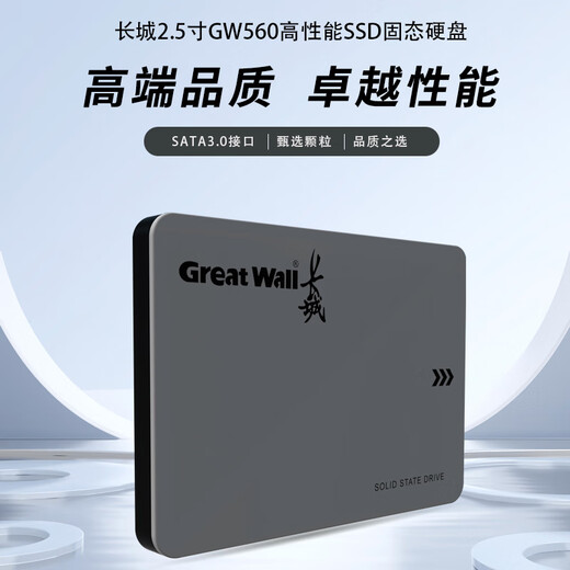 长城（Great Wall) 128GB SSD固态硬盘 SATA3.0接口 读速540MB/S台式机/笔记本通用 GW560系列 