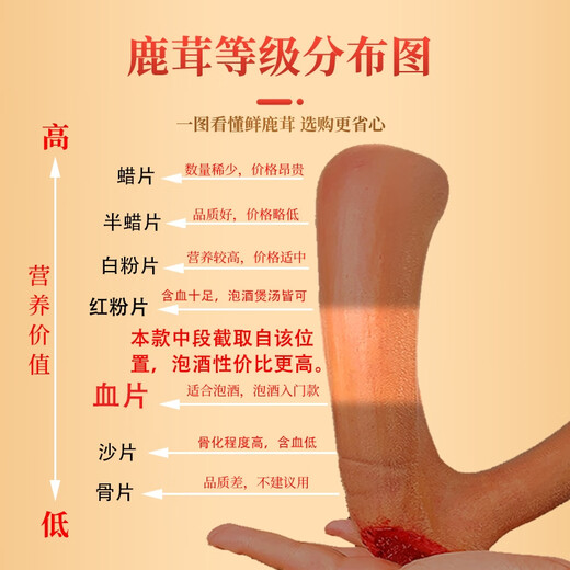 永成鲜梅花鹿茸 整枝可切片 2025新割头茬含血二杠 泡酒煲汤炖菜均可 【100克】连刀切鹿茸中段