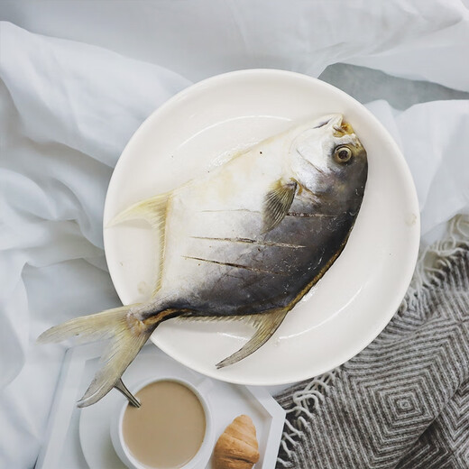 
Guangdong Sea Tongchang Golden Pomfret Zhanjiang Specialty Jinchang Fish Light-drying One Night Garden Golden Pomfret Jinchang Fish Light-drying Sea Flavoring Three Golden Pomfrets 1050g