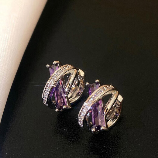 Idel Purple French Earrings and Earrings 2025 New Niche Design High-End Exquisite Earrings Girl Birthday Gift Purple Zirconium Earrings Silver E2795