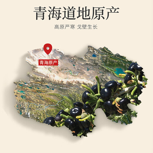 Qilixiang black wolfberry gift box 300g (18 cans) practical new year gift for elders parents parent tonic group purchase